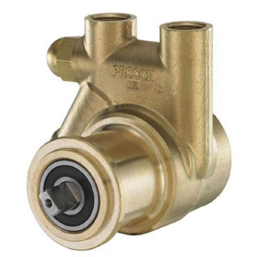 Procon 111a100f11aa 250 Pump Rotary Vane Brass 6xe83 for sale online 